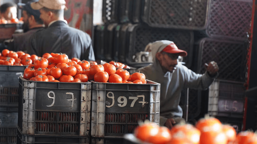 Casablanca : les tomates se stabilisent, l’offre en fruits de saison s’élargit