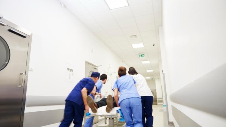 France : premier cas humain de virus Shamonda chez un patient décédé