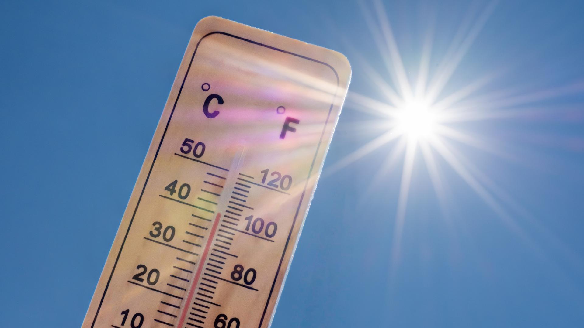Météo : la chaleur s’accroche jusqu’à samedi, un répit en vue