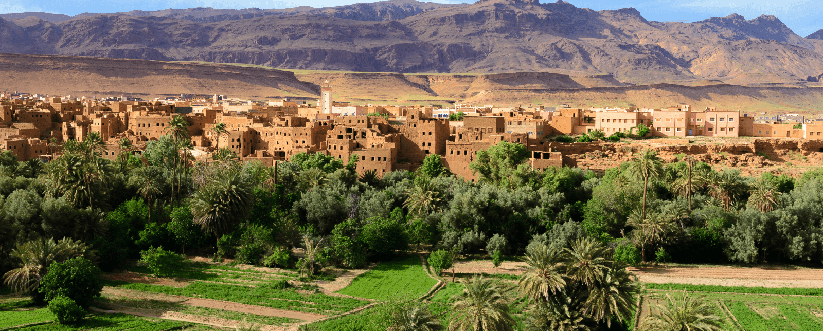 Béni Mellal-Khénifra : Ouled Kwaouch, exemple réussi de modernisation des centres ruraux