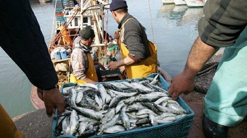 Dakhla : la pêche recule, les recettes progressent