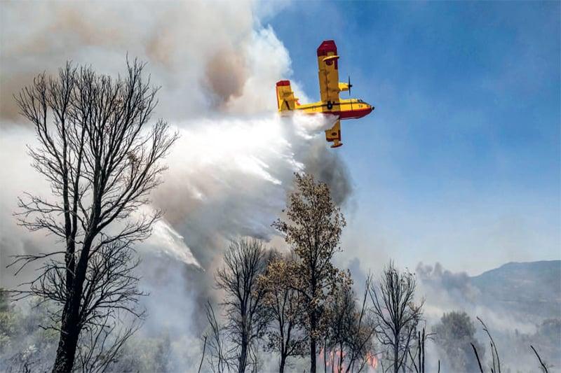 Aïn Lahcen en flammes, les secours face à la course du feu