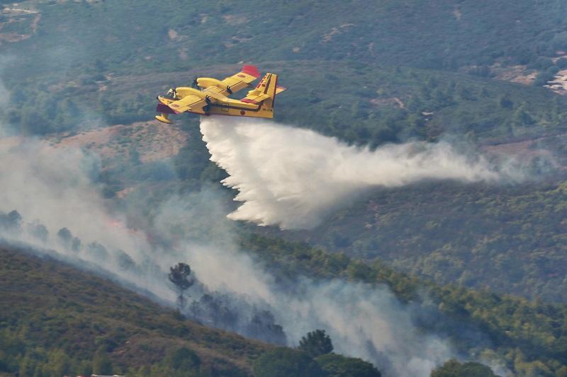 Incendies : le nord du Maroc en alerte face à la menace venue de la Méditerranée 