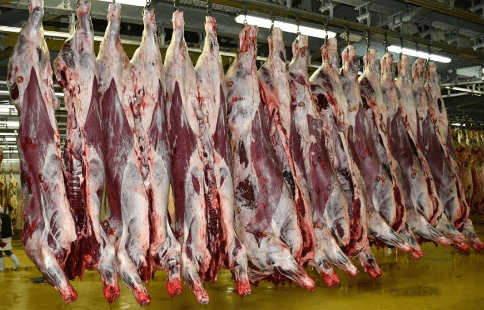Casablanca : le prix de la viande ovine grimpe de nouveau, faut-il s’inquiéter ?