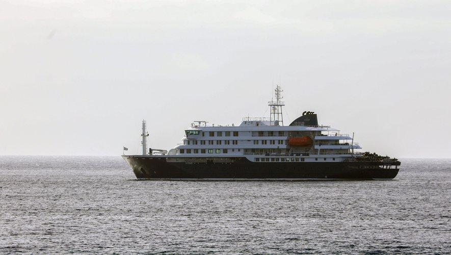 Hantavirus : ce qu’il faut savoir sur le virus suspecté sur un navire de croisière
