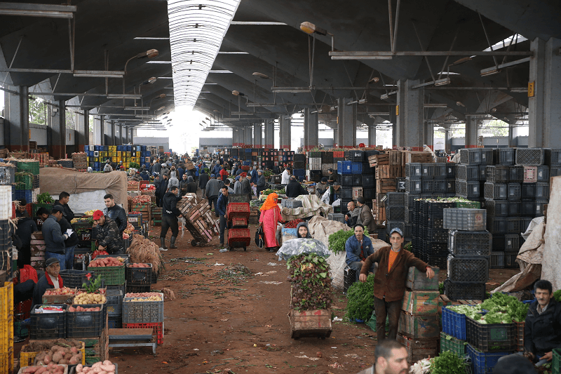 Fruits, légumes, viande : ce qu’il faut retenir des prix cette semaine à Casablanca