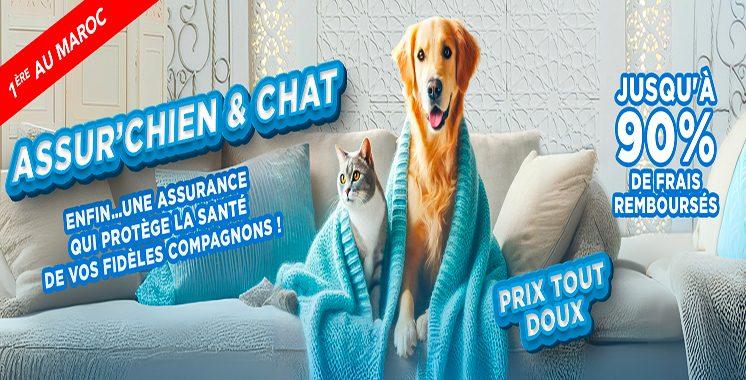 Des croquettes… aux garanties : Sanlam assure vos compagnons