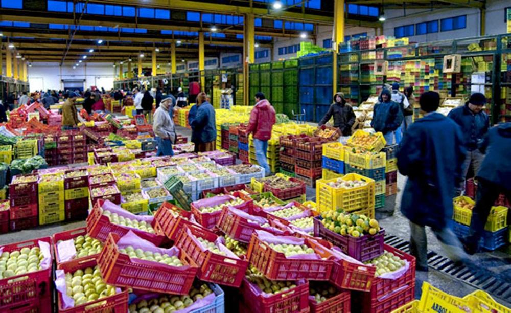 Casablanca : tomates à 1,50 DH, pommes à 16 DH...le marché de gros dévoile ses prix 