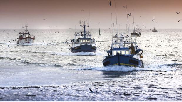 Pêche continentale : la saison 2026-2027 ouverte au Maroc