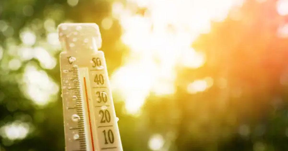 Canicule : jusqu’à 47 degrés attendus dans plusieurs régions du Royaume