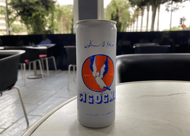 La Cigogne fait son grand retour : une légende marocaine renaît