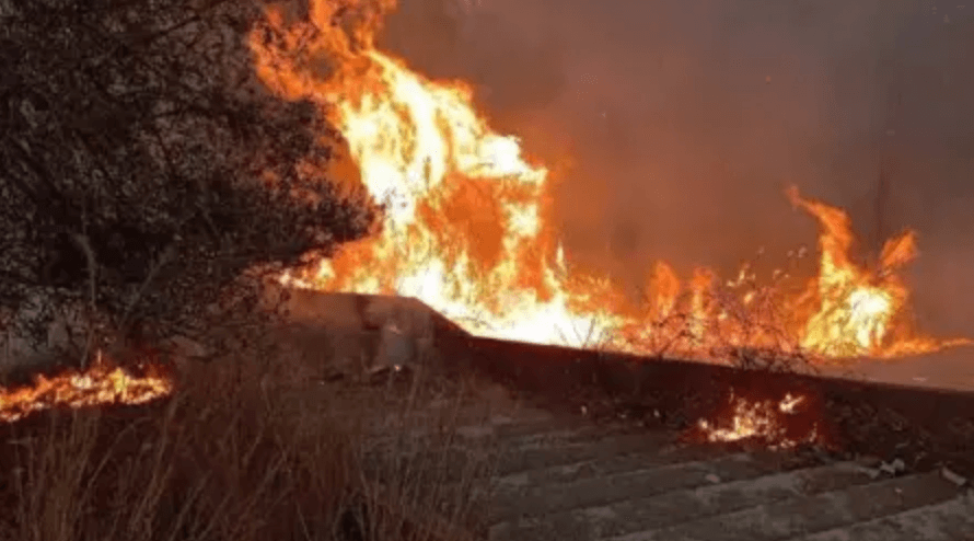 Algérie : Jijel en proie à de violents incendies, des habitants lancent des appels à l’aide