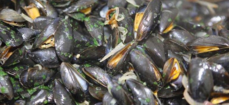 Essaouira : alerte sanitaire sur les moules d’Oum Toyour Chouika