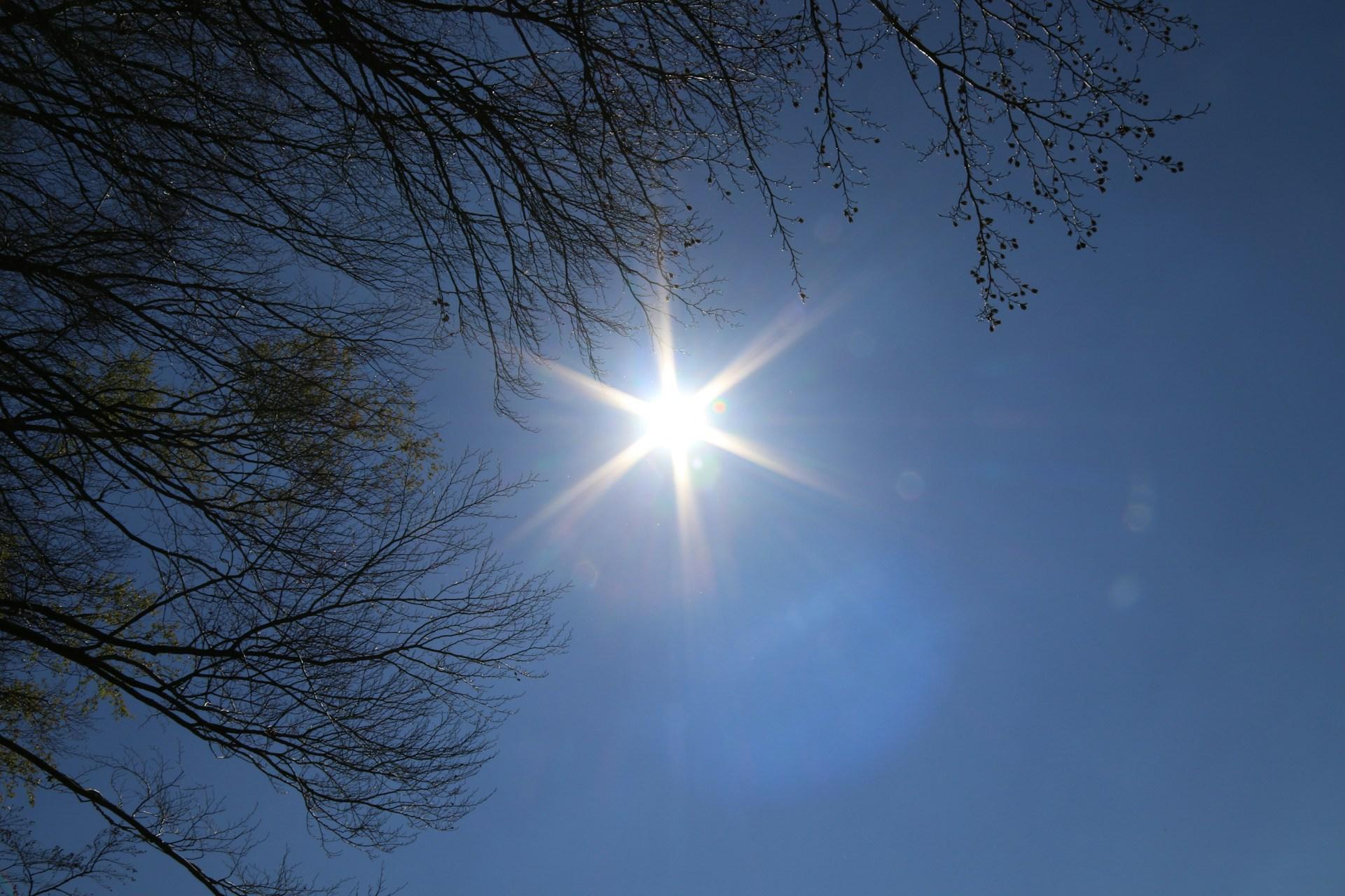Météo : un vendredi radieux marqué par des températures agréables