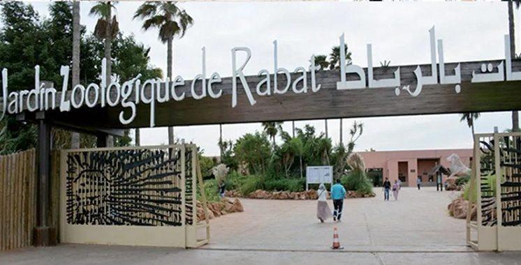Le Zoo de Rabat lance une application pour améliorer l’expérience du public