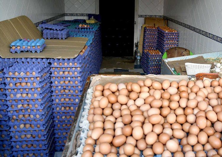 Œufs : les prix chutent sous 1 dirham, mais les producteurs s’inquiètent