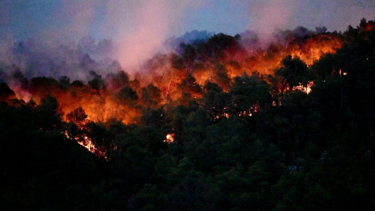 Taroudant : un violent incendie ravage une forêt en zone montagneuse