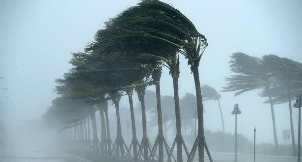 Météo du jour : averses orageuses et brouillard sur plusieurs régions