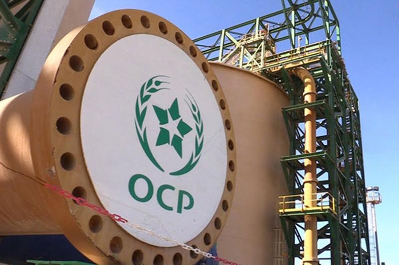 Levée record : OCP renoue avec les marchés pour financer sa révolution verte