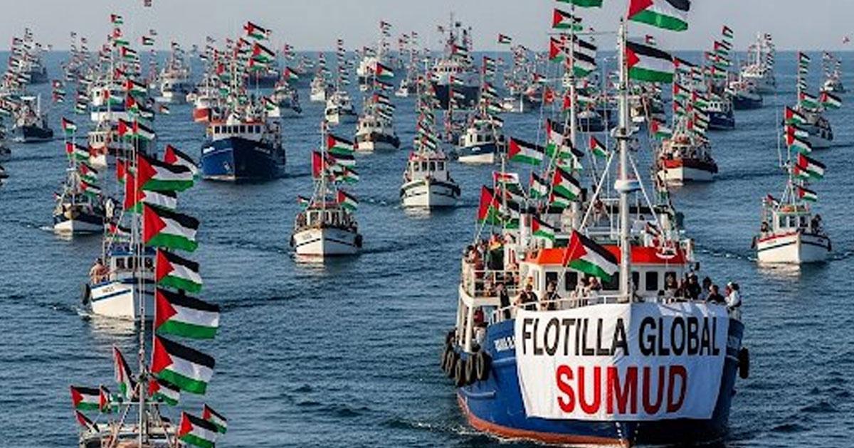 Les Marocains de la flottille Sumud retrouvent la liberté