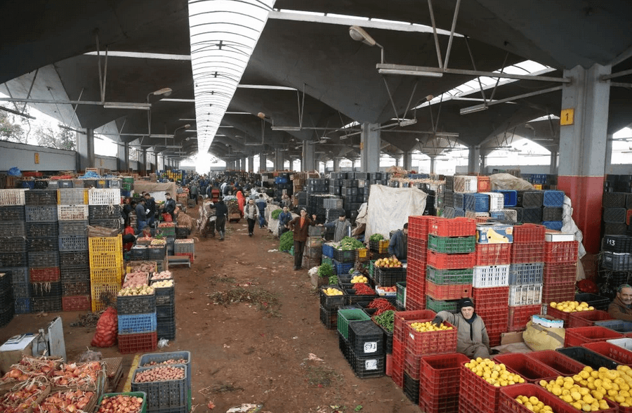 Marché de gros à Casablanca : la viande ovine grimpe, les fruits et légumes résistent