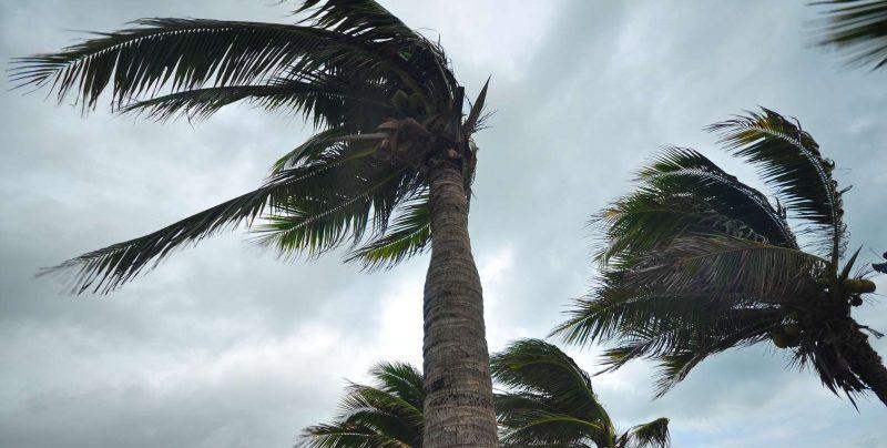 Alerte météo : orages et grêle frappent plusieurs provinces ce jeudi