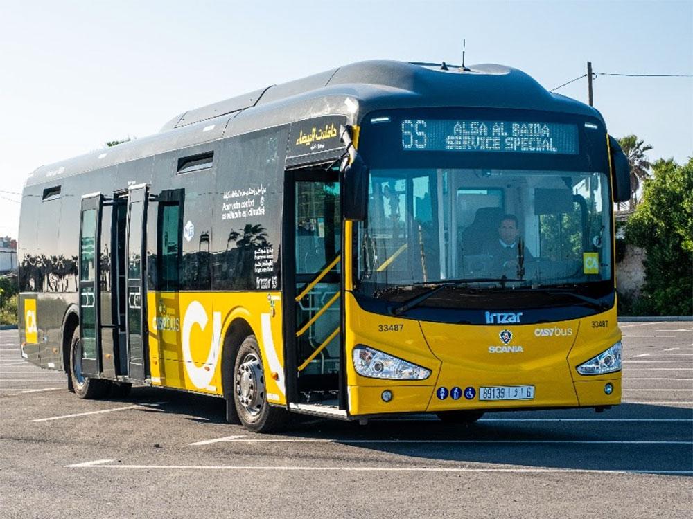 Casabus réajuste son réseau : 10 lignes rétablies, 6 détournées