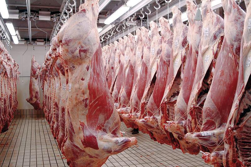 Viande rouge et substances dangereuses : l’ONSSA met fin à la polémique