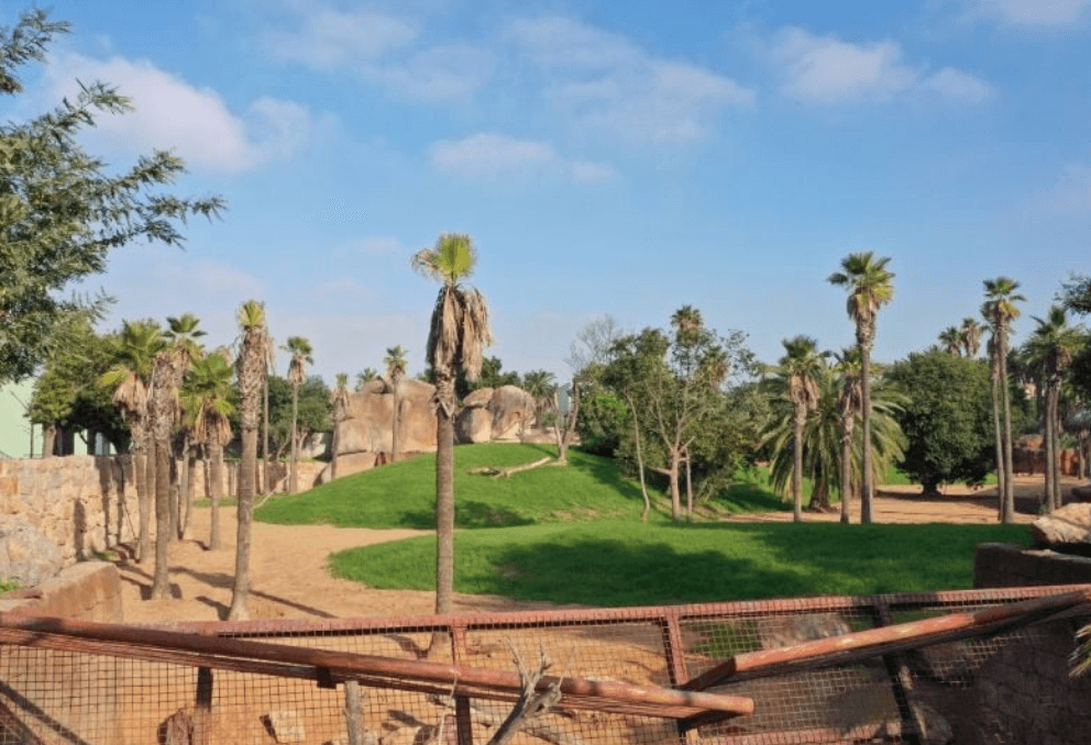 Zoo d’Aïn Sebaâ : enfin la réouverture tant attendue ?
