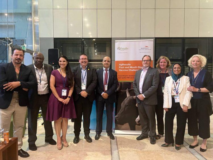 Course contre la fièvre aphteuse : le Maroc en première ligne avec un vaccin révolutionnaire