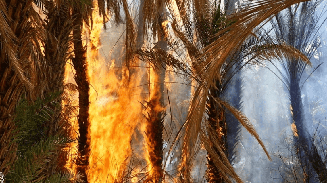 Errachidia : un incendie ravage l’oasis d’Oufouss et détruit plus de 1.000 palmiers