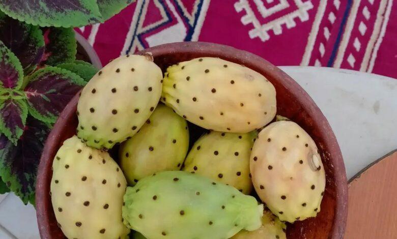 Figue de barbarie : un fruit d’été devenu luxe