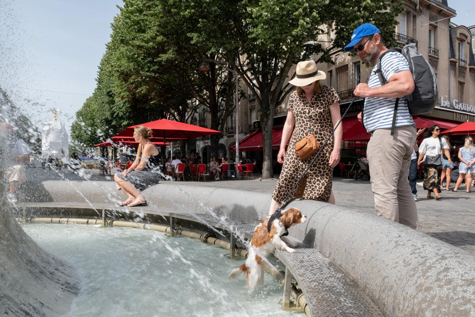Canicule en France : près de 5 800 décès supplémentaires en deux semaines