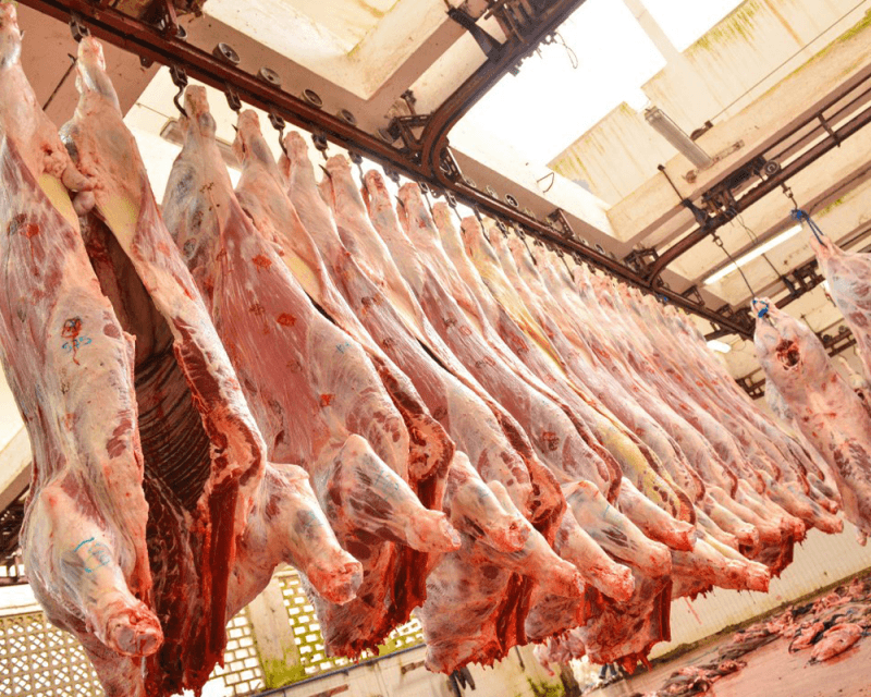 Casablanca : la viande bovine fléchit, les bananes flambent