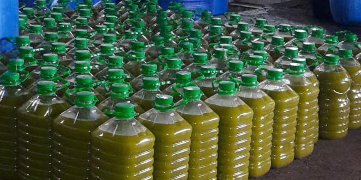Maroc : le litre d’huile d’olive pourrait tomber à 35 DH