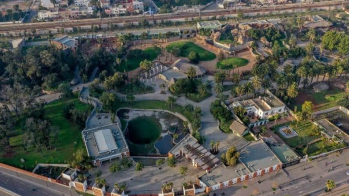 Zoo d’Aïn Sebaâ : on connaît enfin la date de réouverture