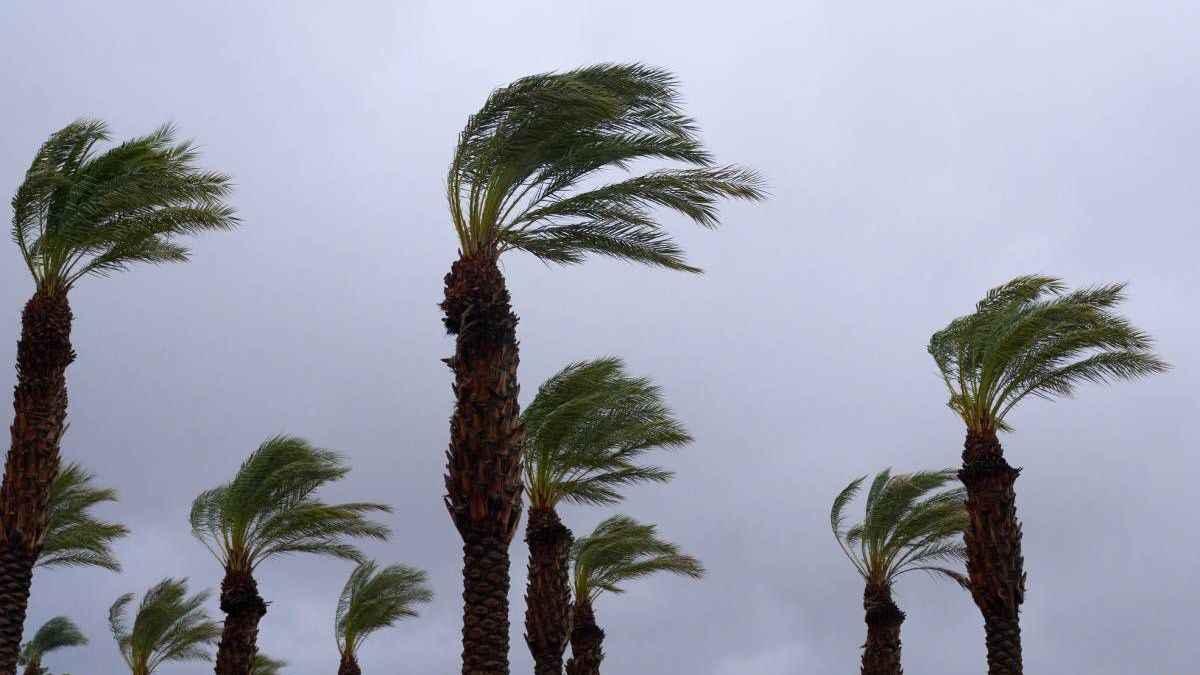 Alerte météo : orages, grêle et fortes rafales jusqu’à dimanche