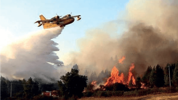 Incendies de forêt : 2024, l’année de la grande accalmie au Maroc