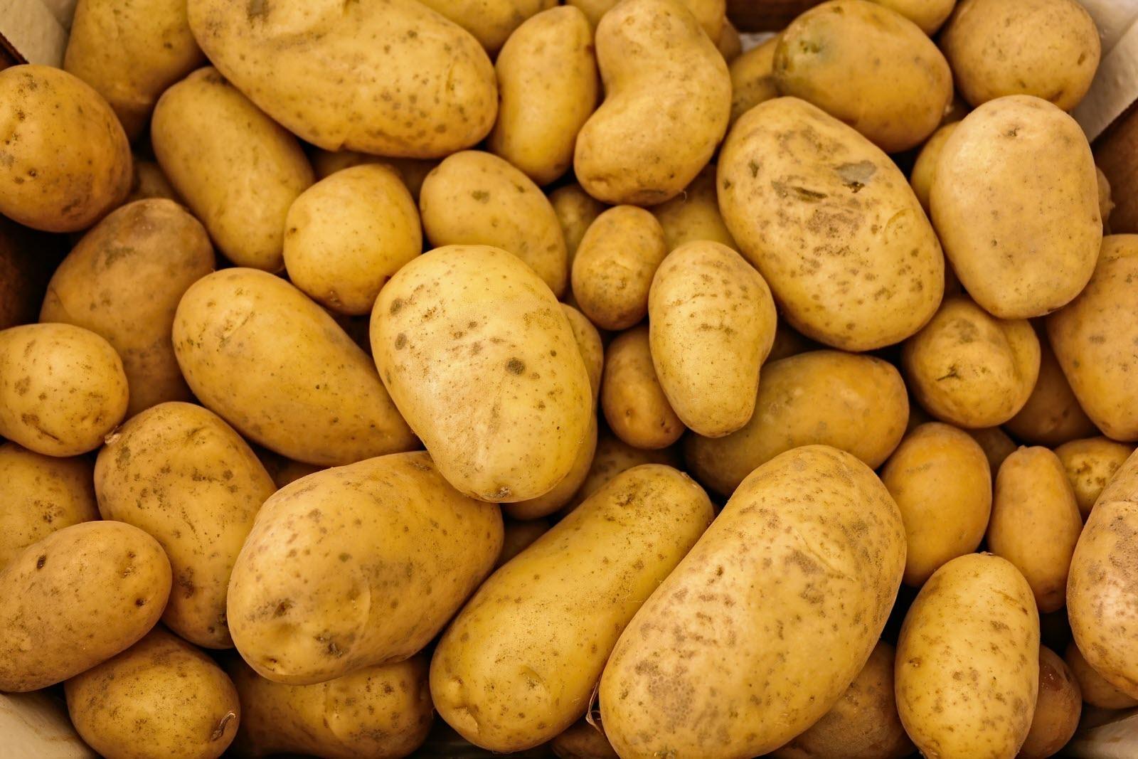 Pommes de terre : le Maroc bat un record avec plus de 12.000 tonnes importées