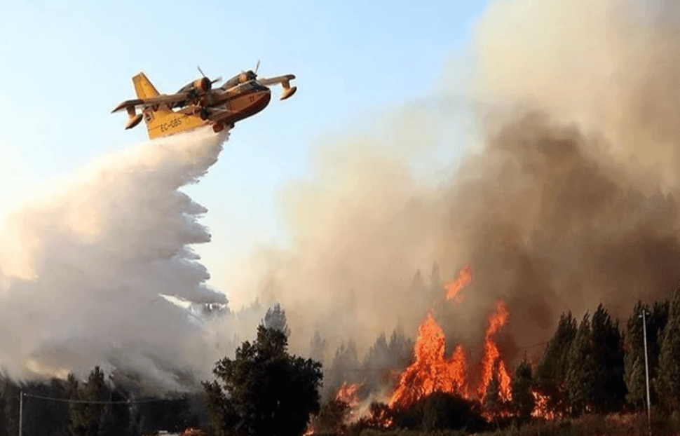 Tanger : un suspect arrêté après l’incendie de la forêt de Houara