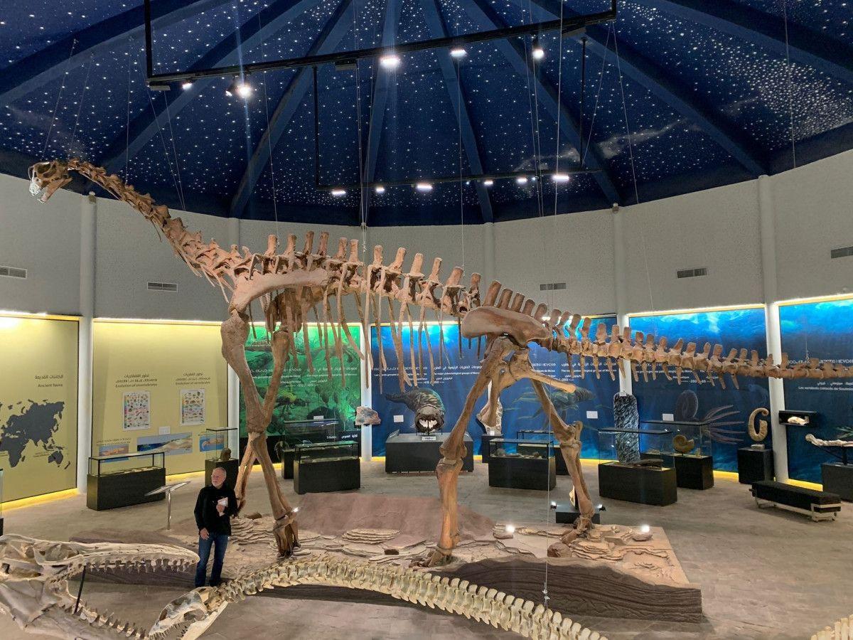 Azilal se prépare à accueillir un parc d’attractions unique sur les dinosaures