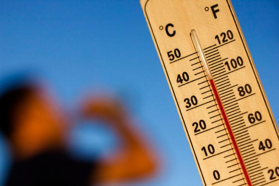 Canicule : fortes chaleurs annoncées avec des pics jusqu’à 42 degrés