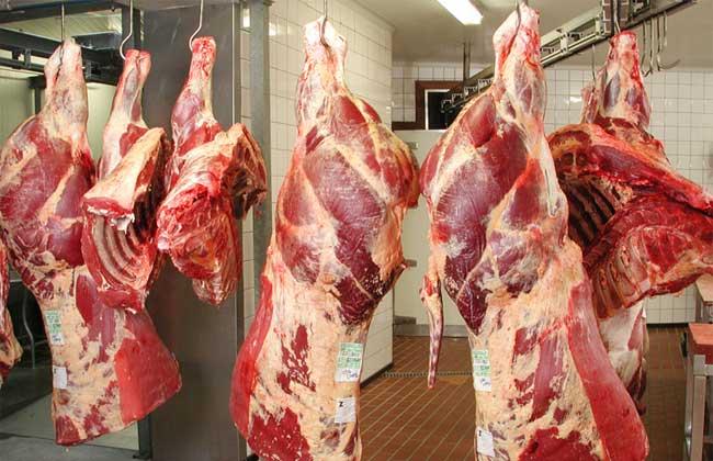 Casablanca : léger recul du prix de gros de la viande bovine