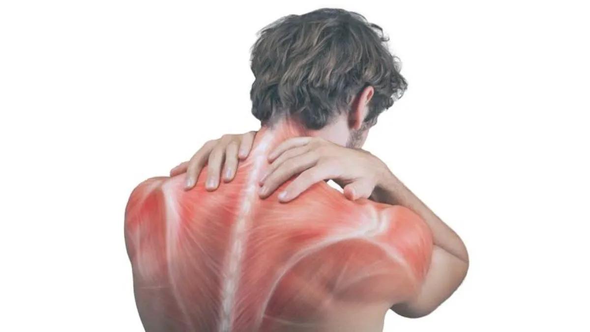 Points gâchettes : ces “nœuds” musculaires qui déclenchent douleur et tensions