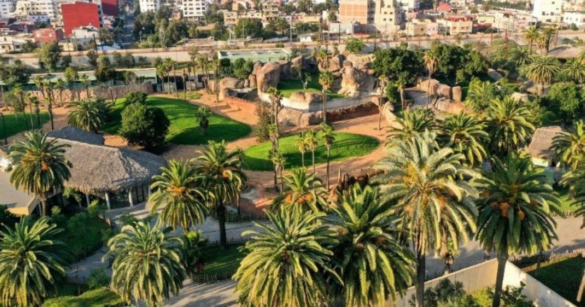 Zoo d’Aïn Sebaâ : la réouverture actée, voici les nouveaux tarifs