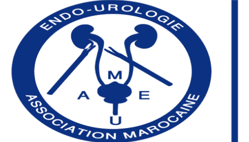 L'Association Marocaine d'Endo-Urologie organise son congrès annuel à Casablanca