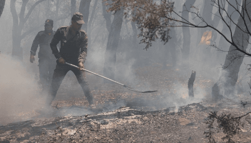 Taounate: Un mort et un blessé parmi les volontaires pour circonscrire un incendie de forêt 