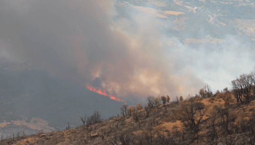 Larache: Dangereux incendies dans trois forêts et 2 décès par asphyxie