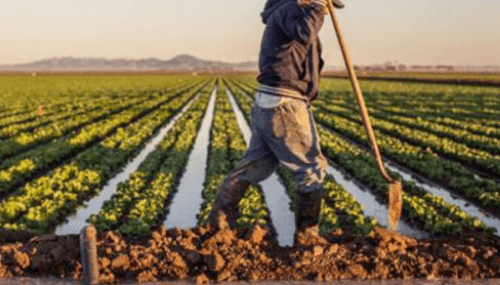 Coopération agricole: le Maroc et la Chine signent un mémorandum d'entente