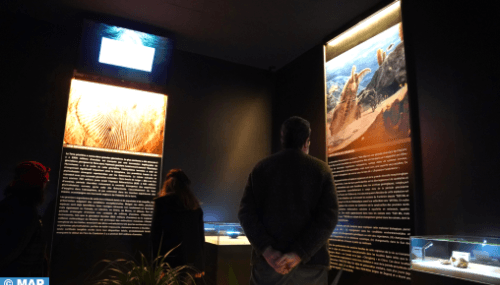 Rabat : Inauguration de la première exposition internationale sur le patrimoine fossile africain